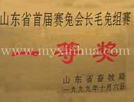 山东省首届赛兔会长毛兔组赛奖项